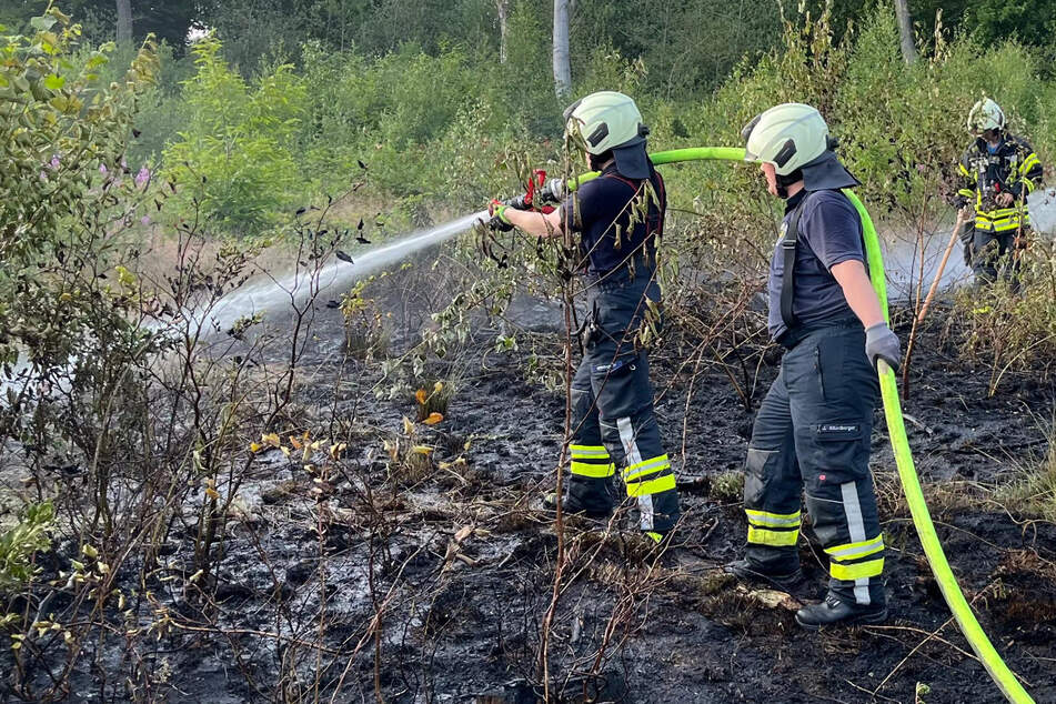 Wald brennt in Sprockhövel: 900 Quadratmeter Fläche bereits abgefackelt