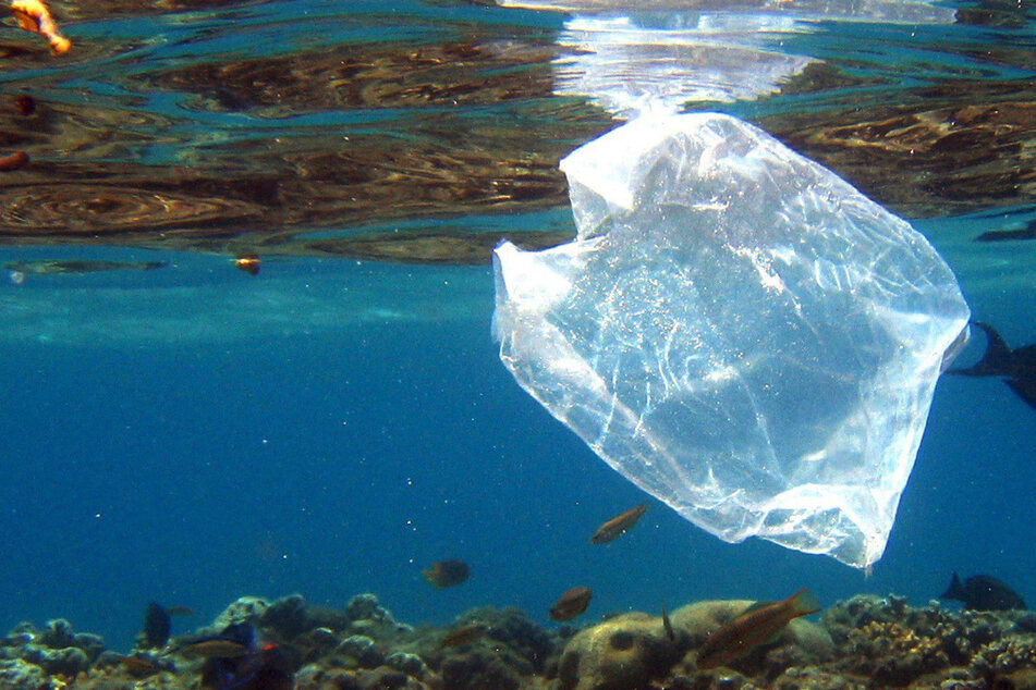 Der Müll in den Meeren bedroht nicht nur Arten auf dieser Welt - er kann auch Lebensraum sein. (Symbolbild)