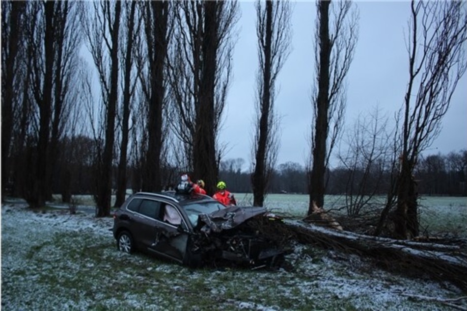 Mit seinem VW knallte der Gelsenkirchener gegen einen Baum.