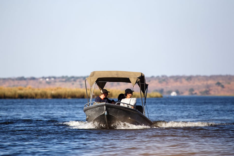 Das gewaltige Tier verfolgte das Touristen-Boot mehrere Sekunden. (Symbolfoto)