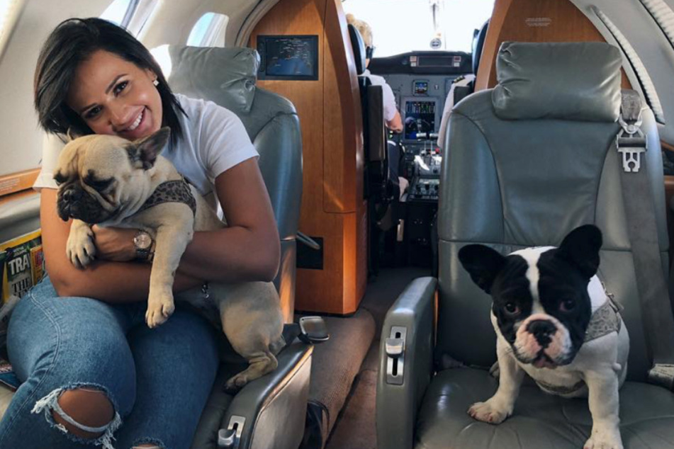 Das Fliegen sind die Hunde von Fabinho und seiner Frau Rebeca Tavares (28) wohl gewohnt. Da könnte es ja theoretisch nach Saudi-Arabien gehen.