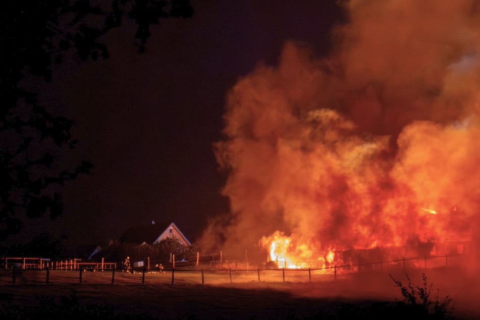 Flammen-Inferno mitten in der Nacht: Heuballen-Brand greift auf Scheune über