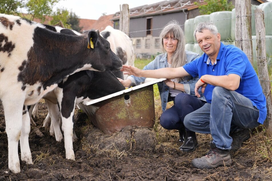 Beim gemeinsamen Versorgen seiner Tiere hofft der 60-jährige Witwer bislang noch vergeblich auf Körperkontakt mit seiner Hofdame.