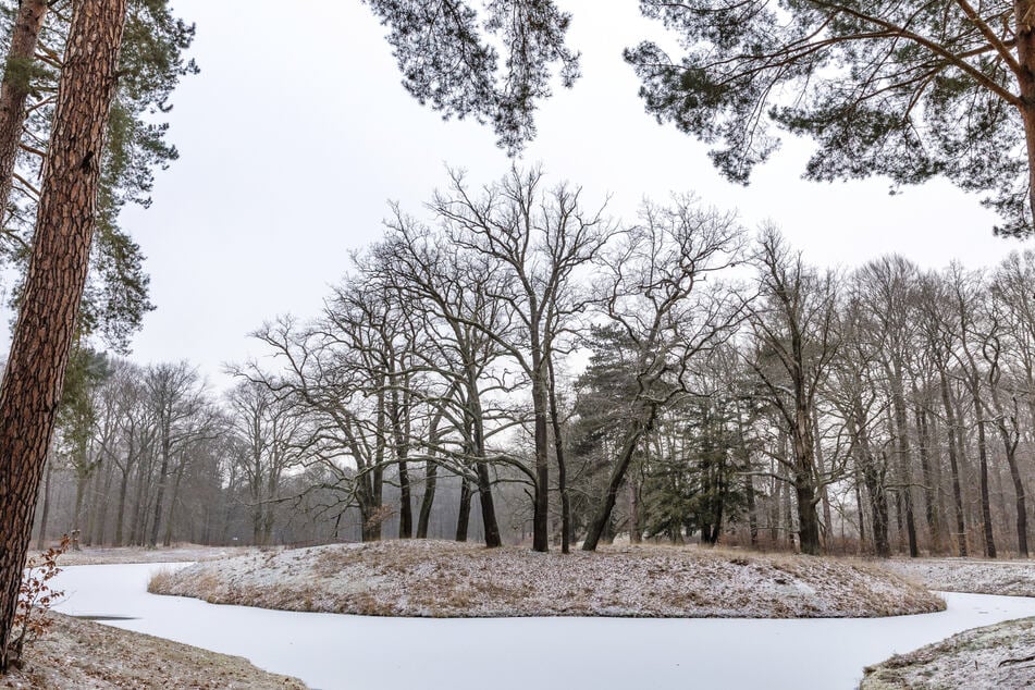 Es bleibt frostig kalt in Deutschland, sodass wir uns an gefrorene Gewässer wie hier im Branitzer Park in Brandenburg gewöhnen müssen.