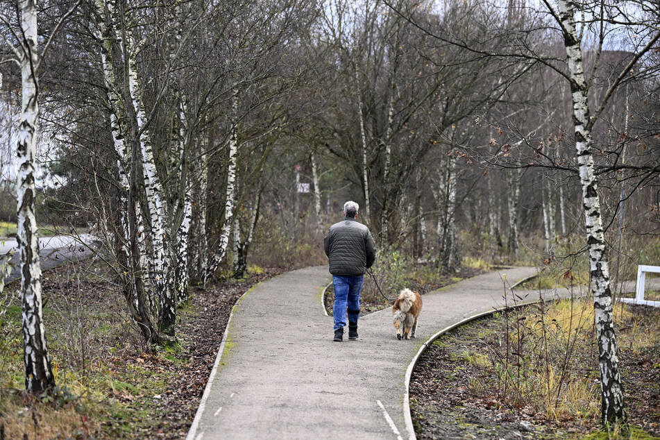 Ein 33-Jähriger wurde auf einer Gassirunde von einer Gruppe Jugendlicher überfallen und tödlich verletzt. (Symbolbild)