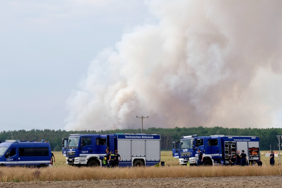 Im Juni mussten Einsatzkräfte einen großflächigen Waldbrand in der Gohrischheide bei Wülknitz (Landkreis Meißen) bekämpfen.