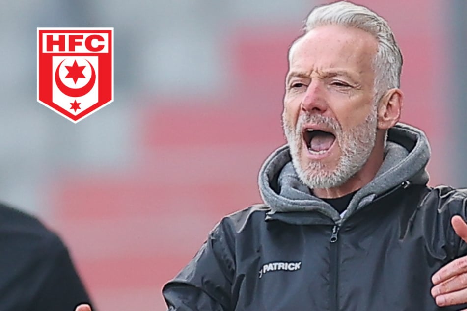 Paukenschlag beim HFC: Coach Zimmermann muss gehen - und bleibt doch?