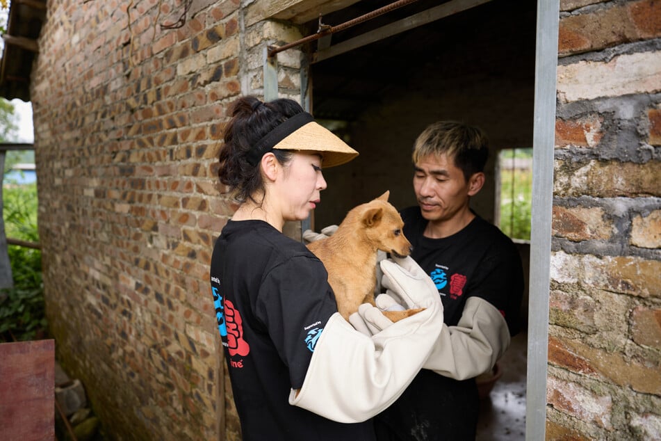Tierschützer haben mehrere Hunde vor der Schlachtung bewahrt.