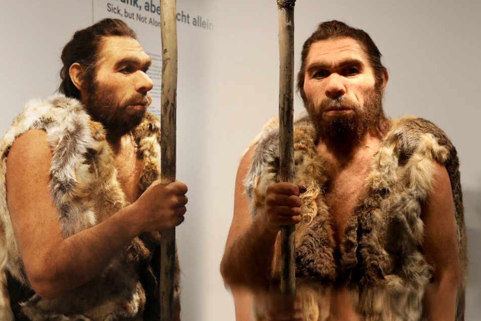 Die Nachbildung des Neandertalers steht im Eingangsbereich des Bonner Museums. Der berühmte Rheinländer hat braune Augen und trägt einen Bart.