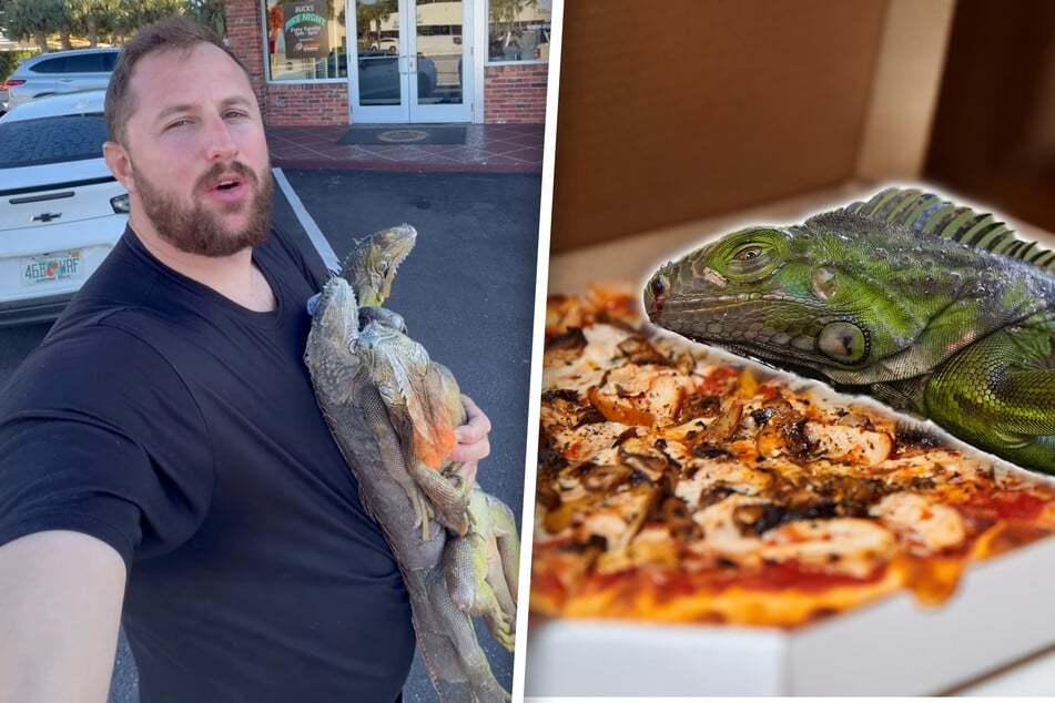 Vom Baum in den Ofen: Restaurant serviert Pizza Echsenfleisch