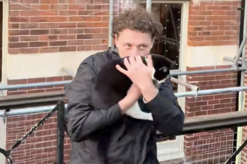 Lucys Partner knuddelte sie gleich, damit sie den beiden schnell verzieh.