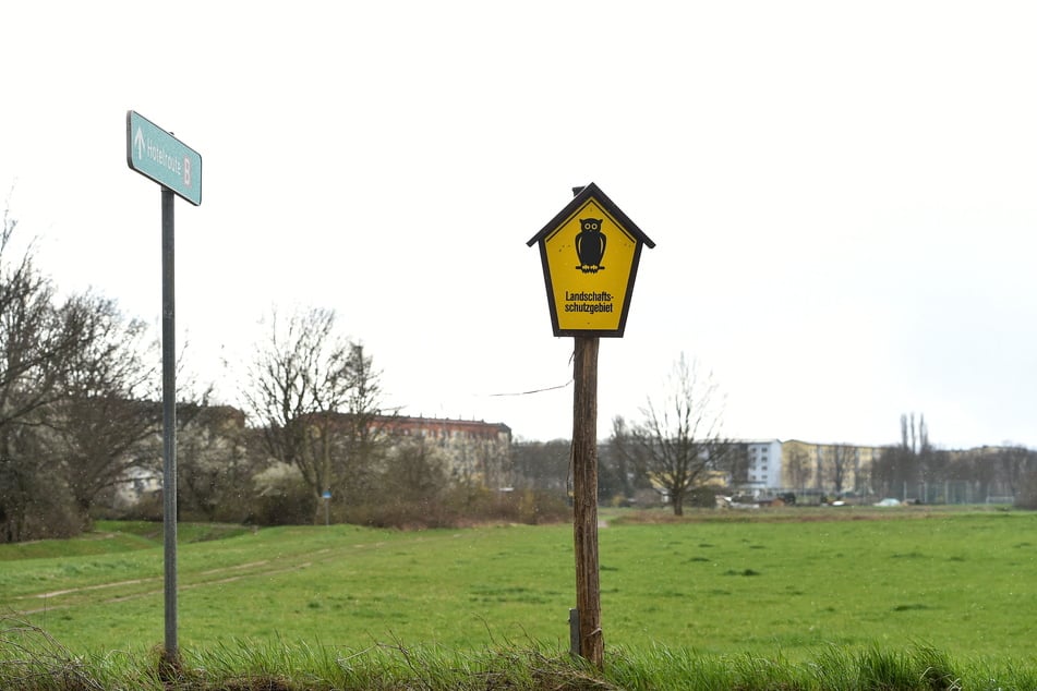 Direkt neben dem Toeplerpark soll die Umleitungsstraße beginnen und dann mitten durch das Landschaftsschutzgebiet "Alter Elbarm" führen.
