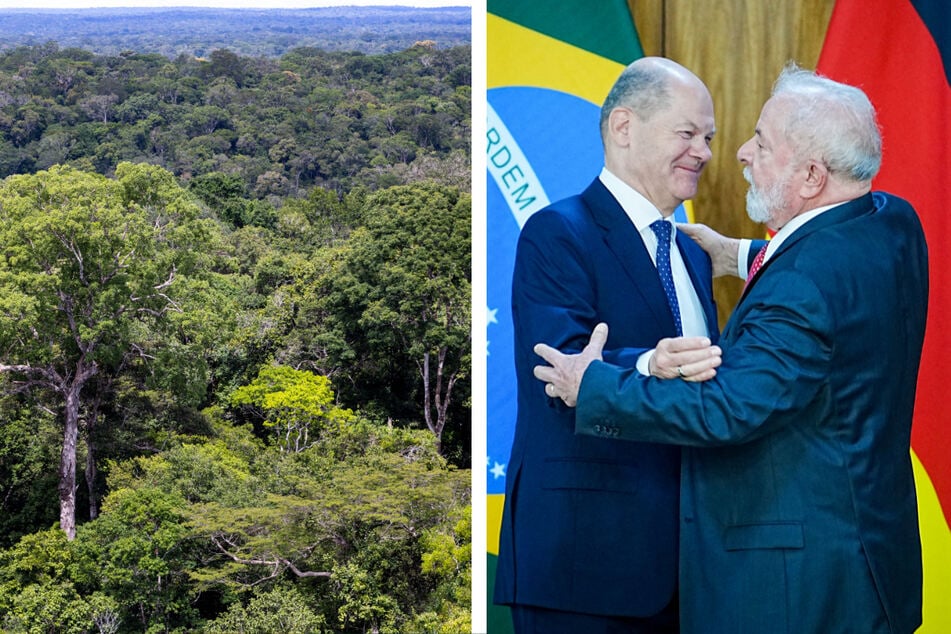 Olaf Scholz sagt Brasilien 200 Millionen Euro für Umweltschutz zu