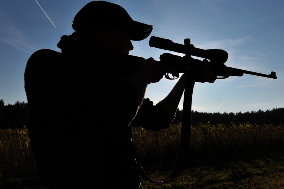 Wer einen Wolf tötet, verstößt gegen das Bundesnaturschutzgesetz. (Symbolbild)