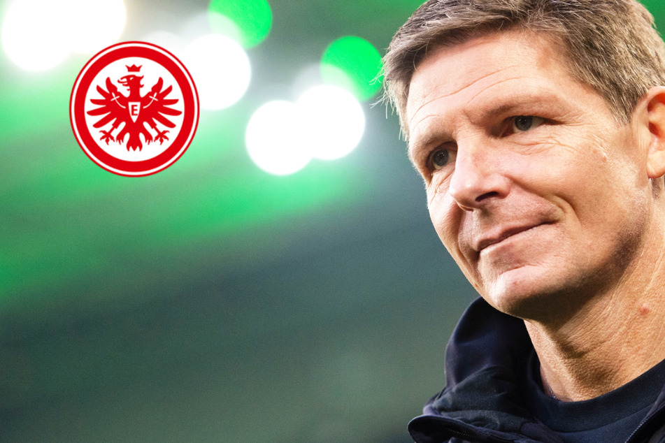 Eintracht-Trainer Glasner nach Sieg gegen Gladbach: "Hier müssen wir gierig sein"