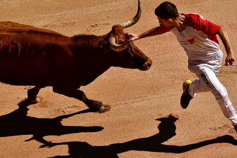 Umstrittene Stierkämpfe: Wie geht es mit den ungenutzten Arenen weiter?