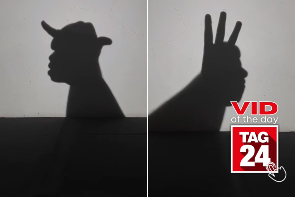 viral videos: Viral Video of the Day for May 28, 2023: Mesmerizing TikTok shadow puppets