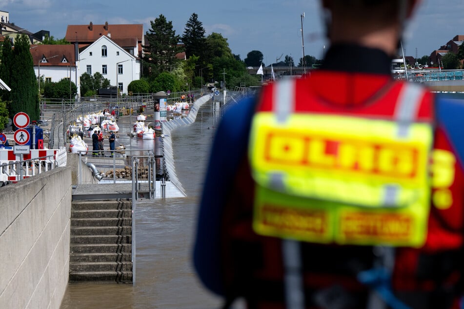 Schutzwände stehen am Ufer der hochwasserführenden Donau in Regensburg.