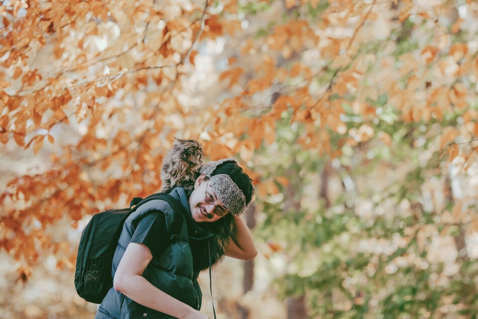 Leash training your cat can lead to many happy times out in nature with your kitty.