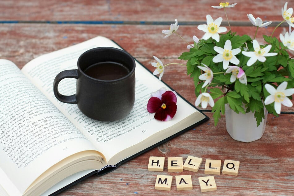 May 2025 welcomes new books from authors like Freida McFadden, Carley Fortune, and more.
