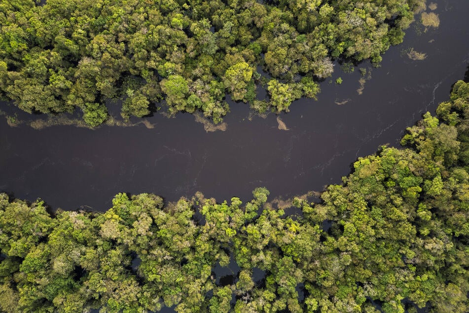 The Amazon rainforest has faced threat from deforestation for decades.