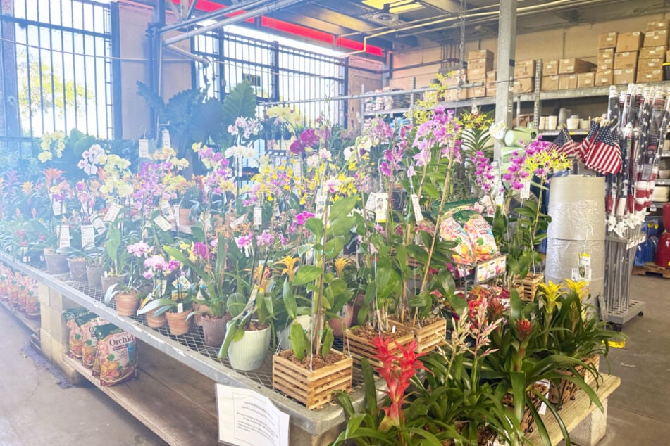 Create your outdoor oasis with these bargains at Home Depot