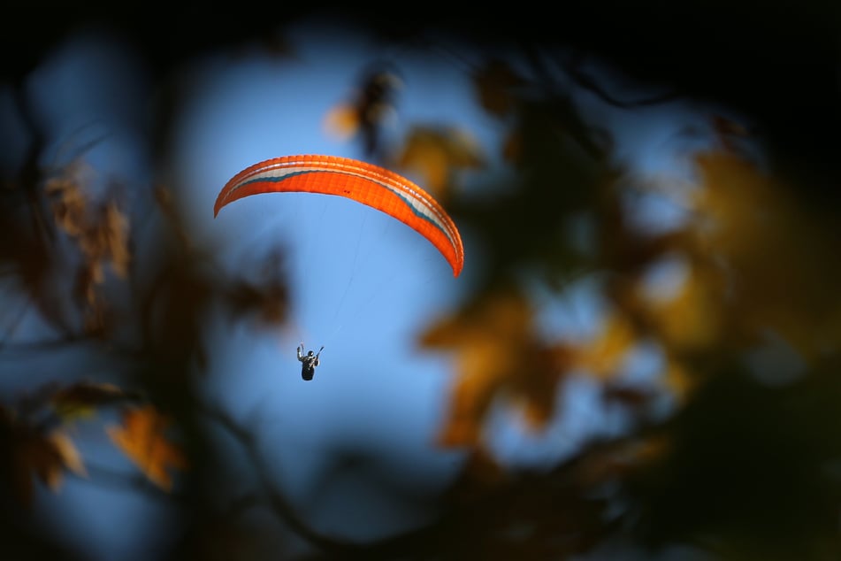 Ein Gleitschirmflieger (34) musste in Schwaben in einem Baum notlanden. (Symbolbild)