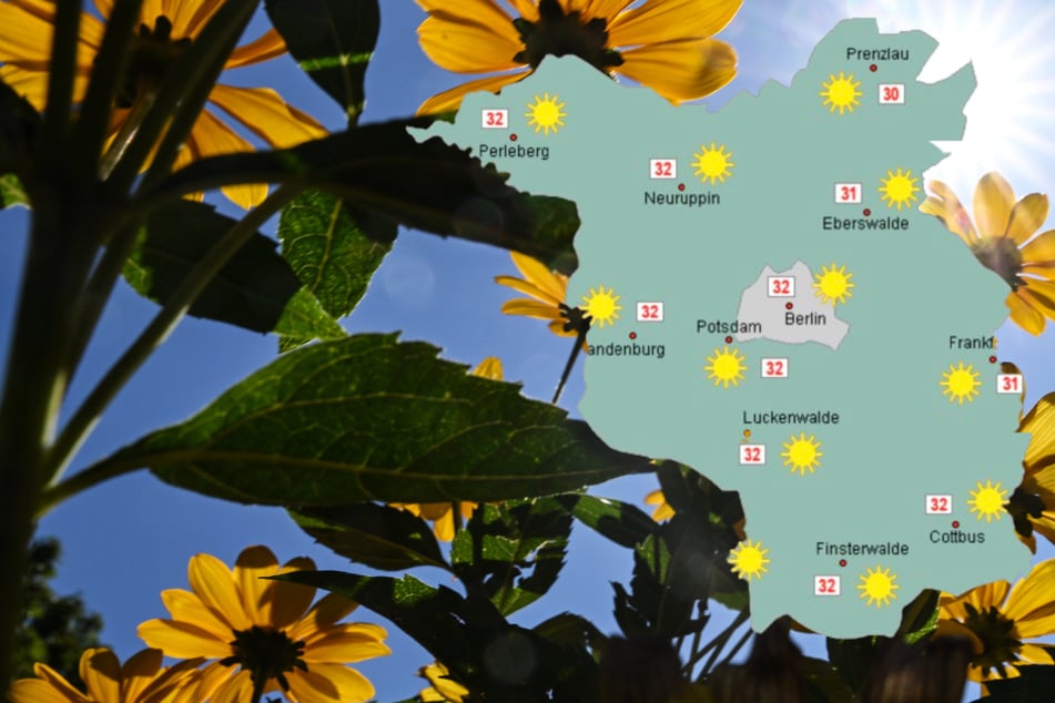 Hitzewelle in Berlin und Brandenburg: Bis zu 37 Grad, dann kommen Gewitter