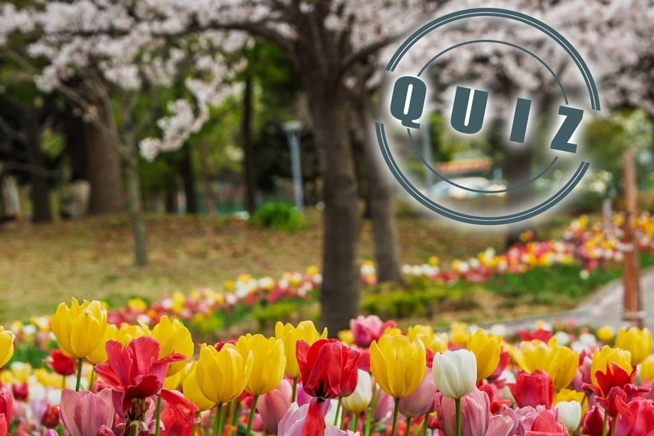 Teste Dein Wissen im Frühlingsquiz! Dir blühen Frühlingsboten, Wetter, Bräuche und mehr