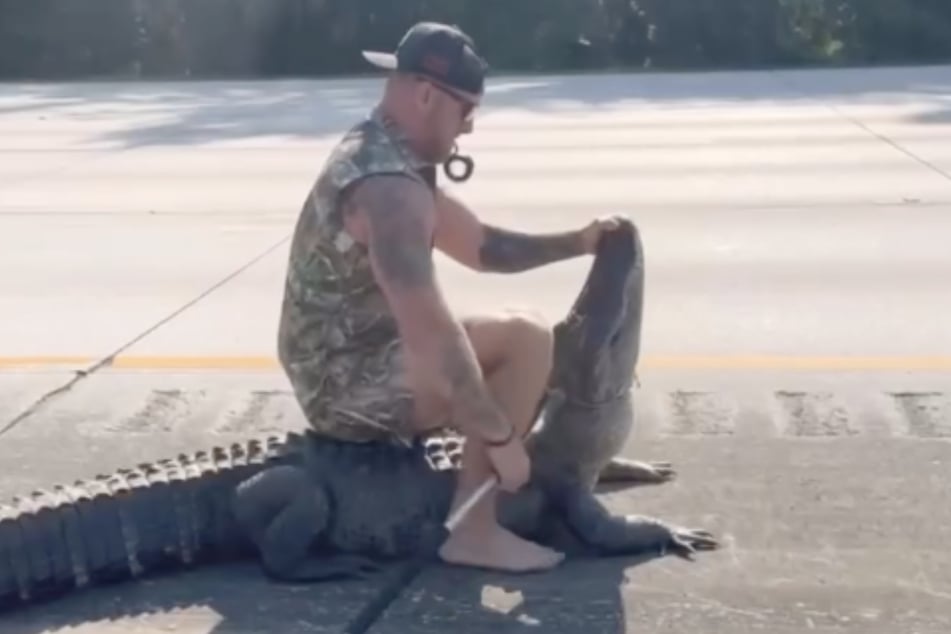 Mike Dragich (35) machte den Alligator kampfunfähig.