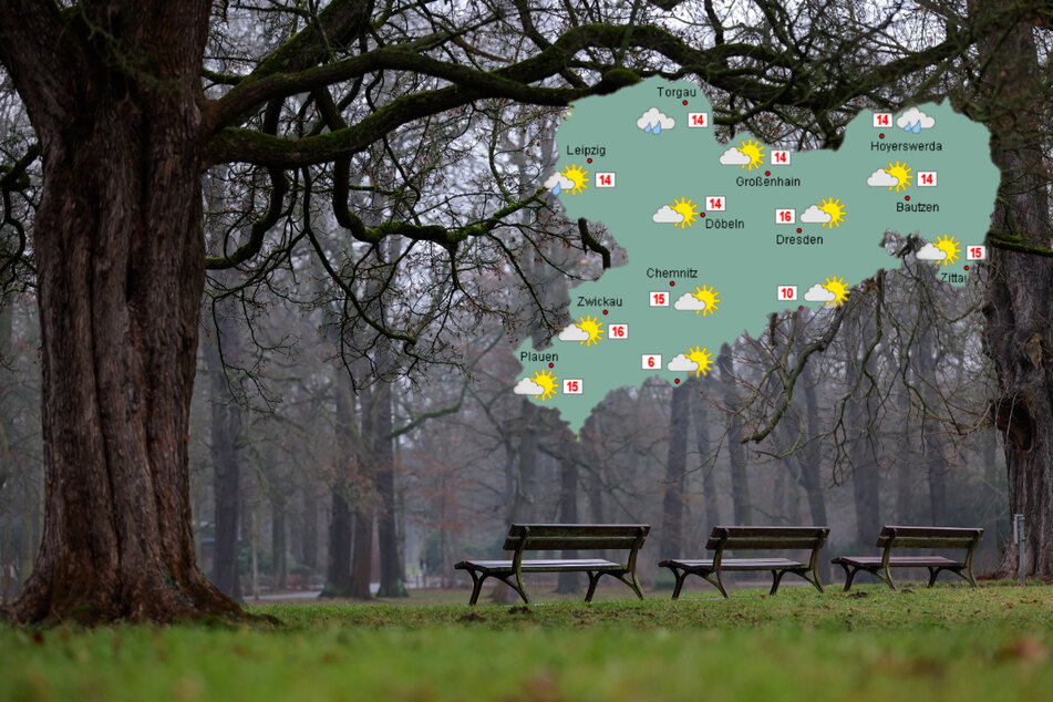 Wetter in Sachsen: Macht Euch auf ein graues Wochenende gefasst!