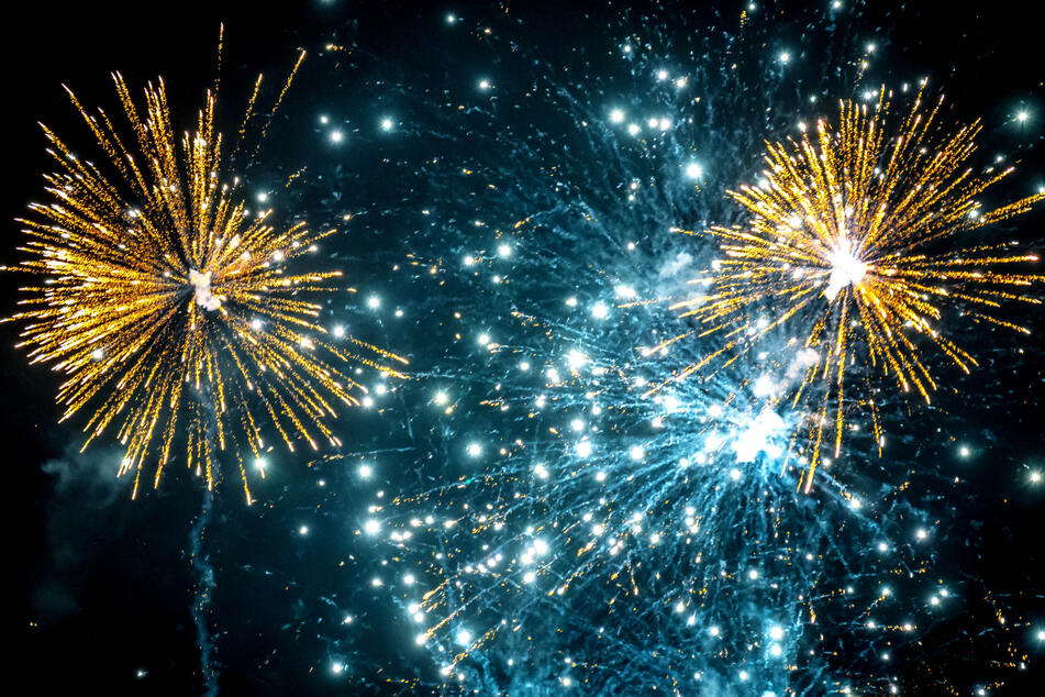 Es gibt verschiedene Möglichkeiten, um Eure Haustiere vor dem Lauten Feuerwerk an Silvester zu schützen. (Archivbild)
