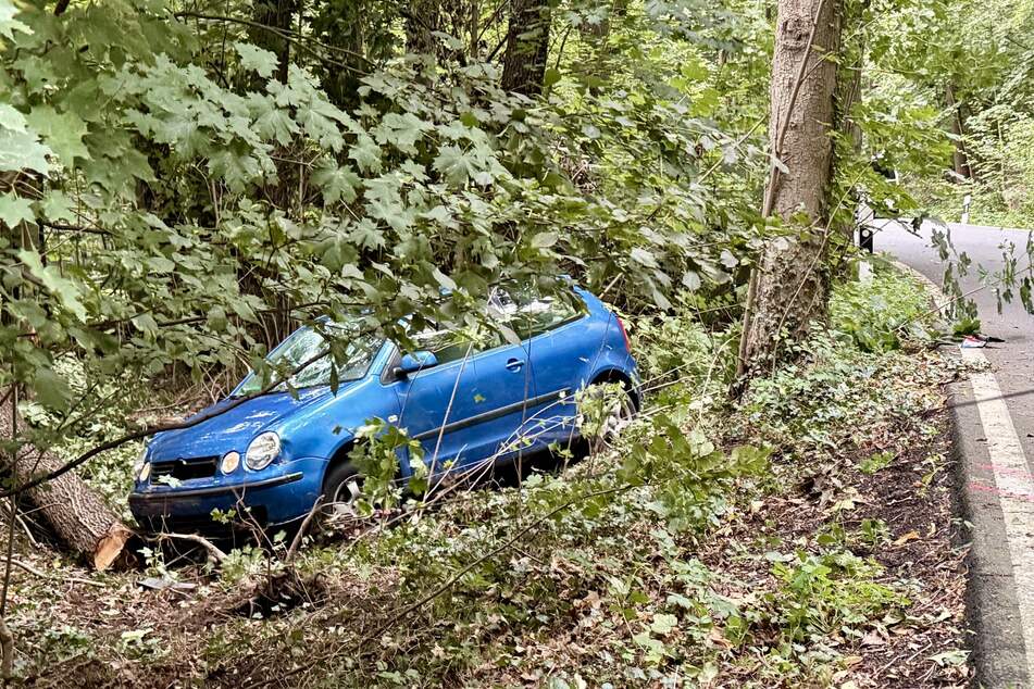 Der Abschleppdienst zog den Polo später aus dem Wald.