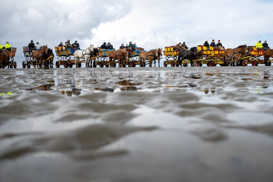 Die Bewohner der Nordseeinsel Neuwerk und die Wattwagenfahrer demonstrieren für den Erhalt des Weges über das Watt.