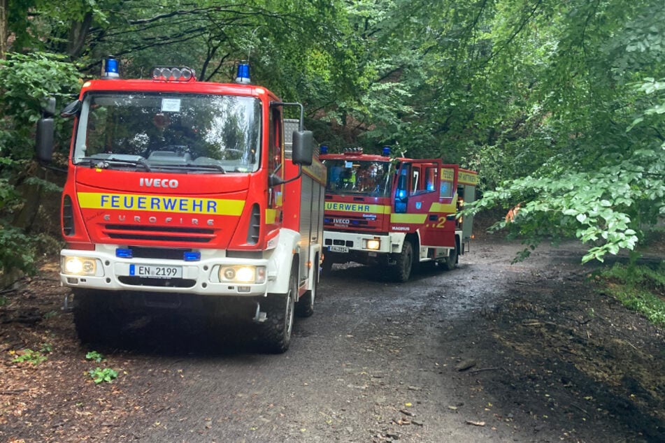 Die Feuerwehr rückte mit zahlreichen Kräften zu dem Rettungseinsatz aus.