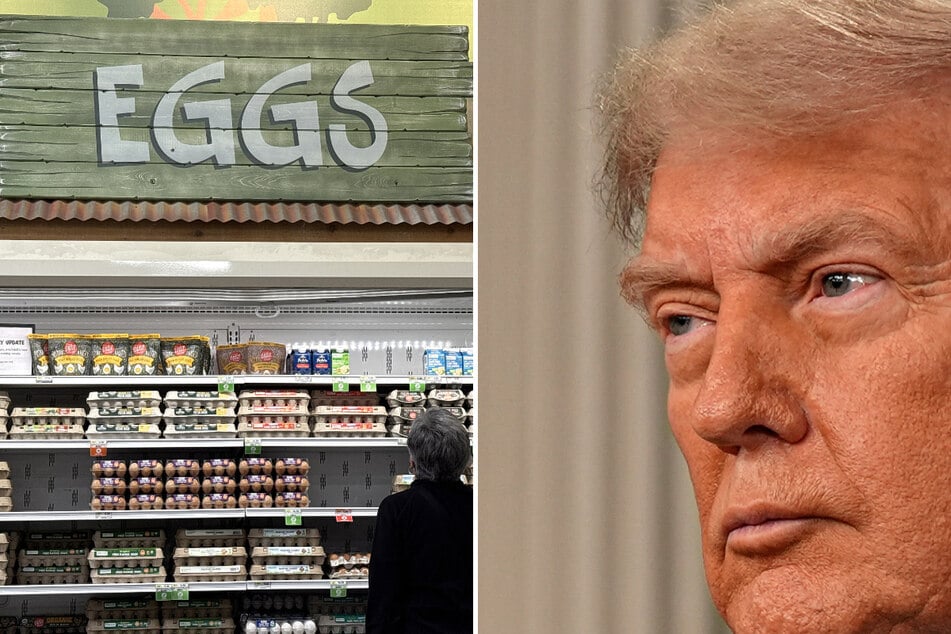 Trump launches egg war against California with lawsuit over animal cruelty laws