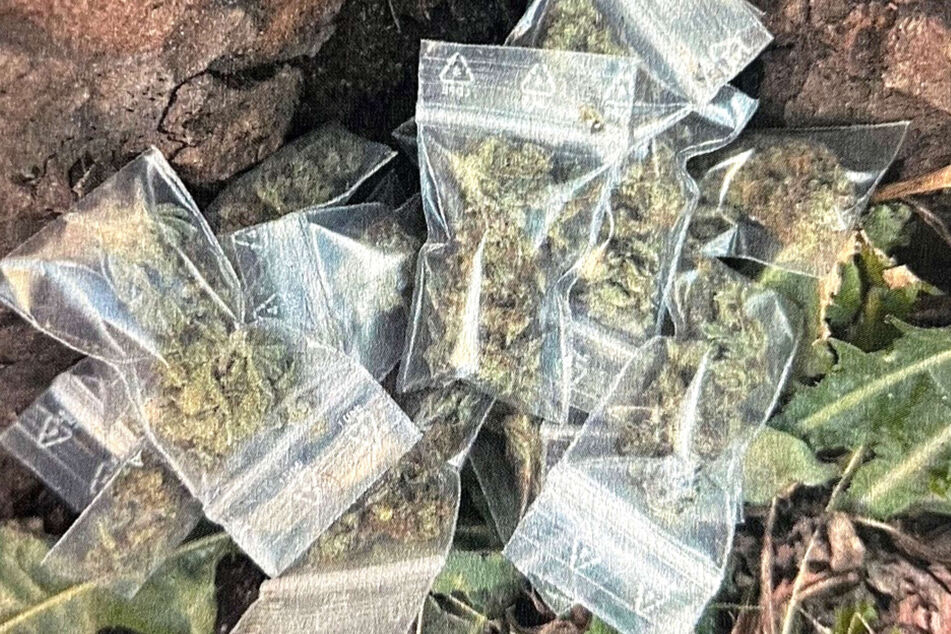 An der Stelle entdeckten die Polizisten mehr als ein Dutzend verkaufsfertige Tütchen mit Cannabis.