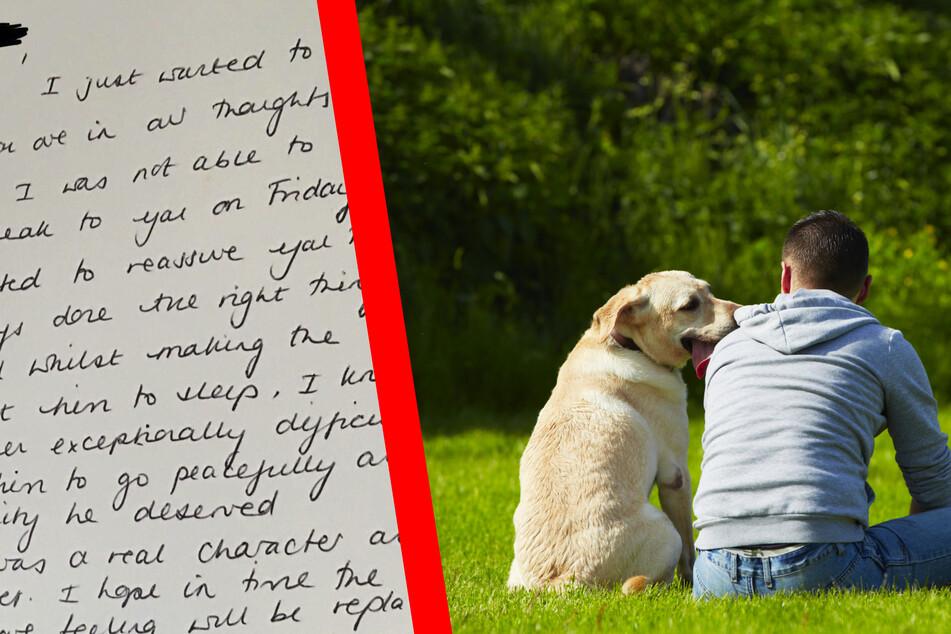 Herrchen trauert um seinen geliebten Hund: Dann trifft plötzlich dieser Brief bei ihm ein