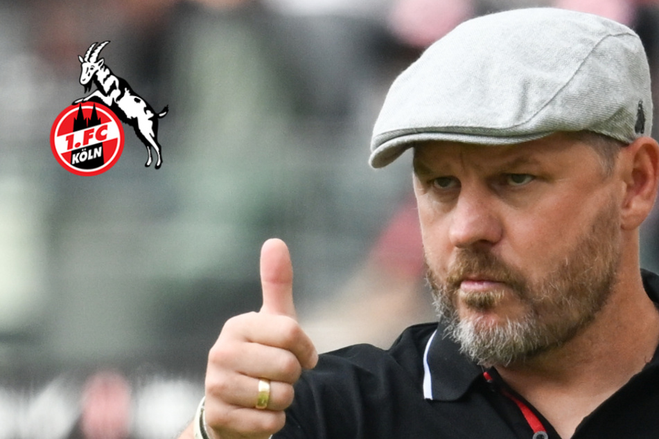 Vor Heimspiel des 1. FC Köln gegen Hoffenheim: Steffen Baumgart kassiert Seitenhieb von Kollegen