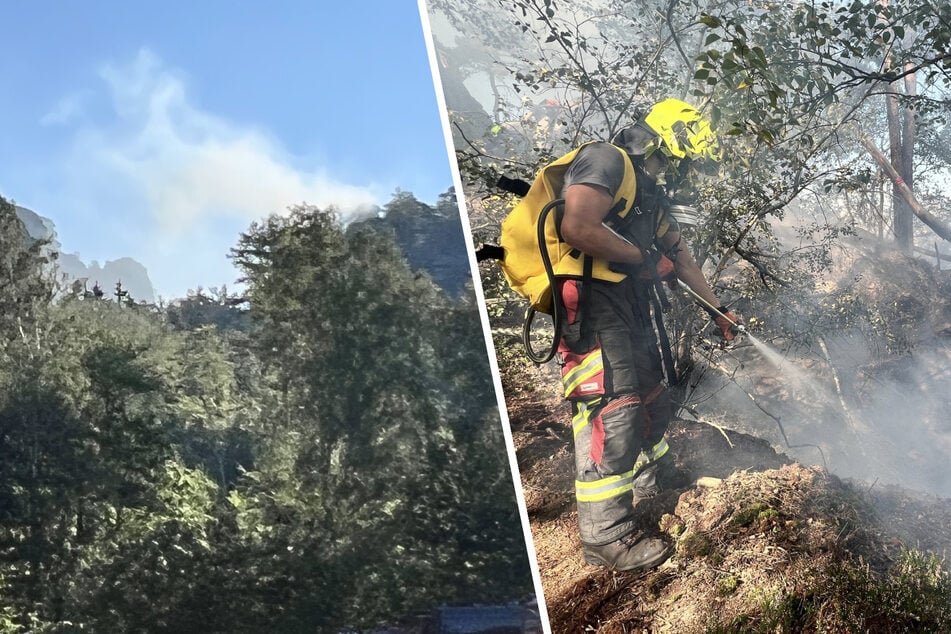 Waldbrand in Sächsischer Schweiz: Tatverdächtiger stellt sich, Polizei sucht Zeugen