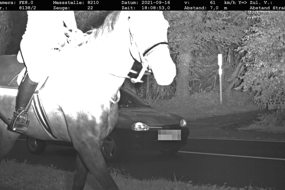 Unbrauchbar: Das Pferd verdeckte das zu schnell fahrende Auto, wodurch die Polizei den Raser nicht ausfindig machen konnte.
