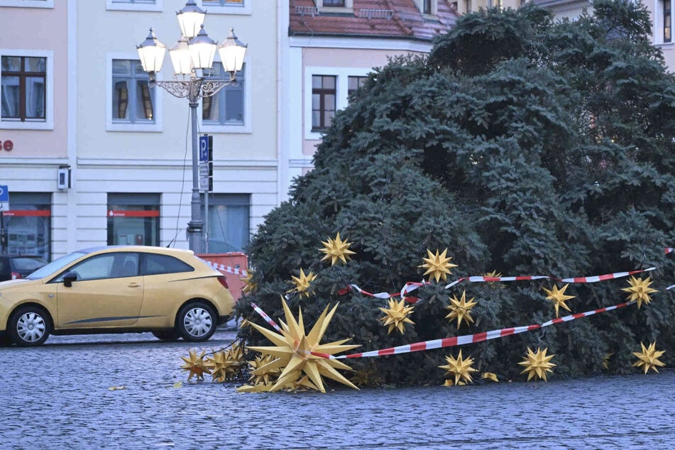 Zehn Meter hoher Weihnachtsbaum auf Altmarkt abgesägt - 2000 Euro Schaden