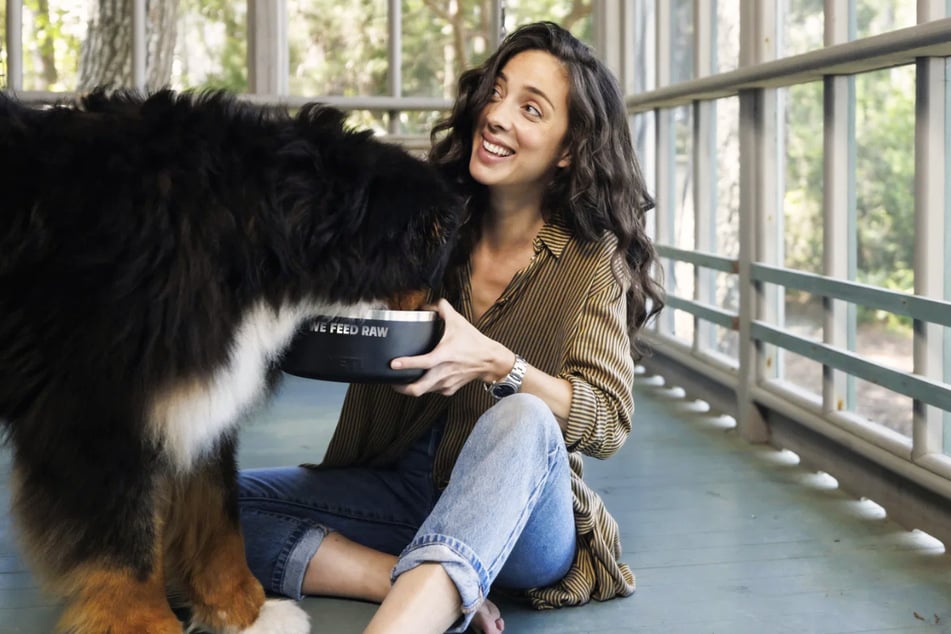 The Truth About Ultra-Processed Pet Food Is Changing How Owners Feed Their Dogs