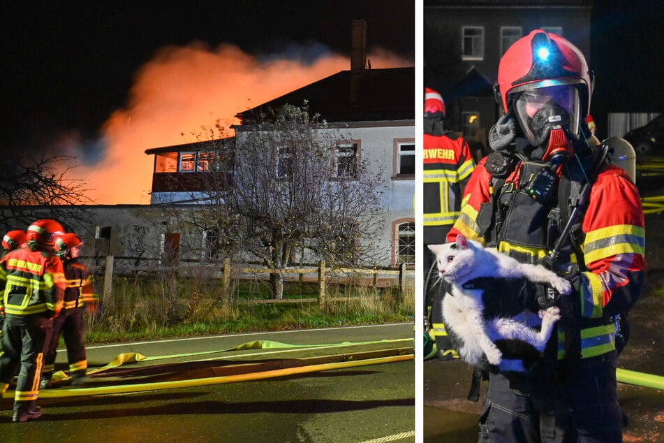 Großeinsatz in Mittelsachsen: Gasthof brennt lichterloh, Feuerwehr rettet Katze