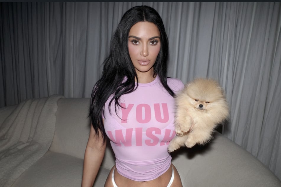 S krátkým spodním prádlem a průhledným růžovým tričkem se 45‑letá žena ukázala společně se svým novým štěnětem pomerančského psa.