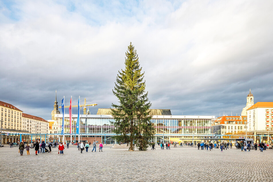 Blick auf den Dresdner Altmarkt (Platz 2). In diesem Jahr fällt der Striezelmarkt aus, es gibt nur den Weihnachtsbaum und Holz-Deko zu sehen.
