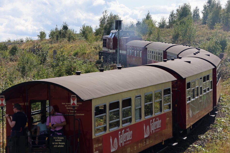 Waldbrandgefahr im Harz: Brockenbahn stellt auf Dieselloks um