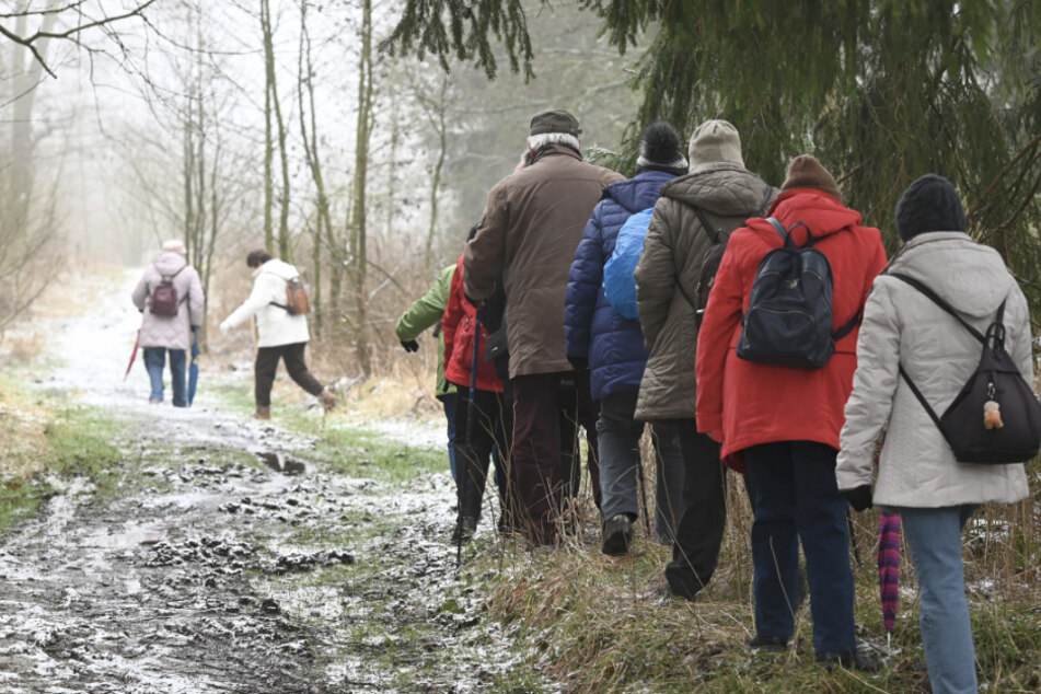 Eine Wandergruppe geht im Gänsemarsch.
