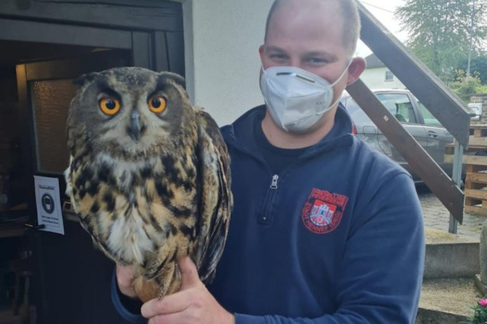 Fabian Herde von der Freiwilligen Feuerwehr mit dem geretteten Uhu. Da der Raubvogel unverletzt war, wurde er wieder ausgesetzt.