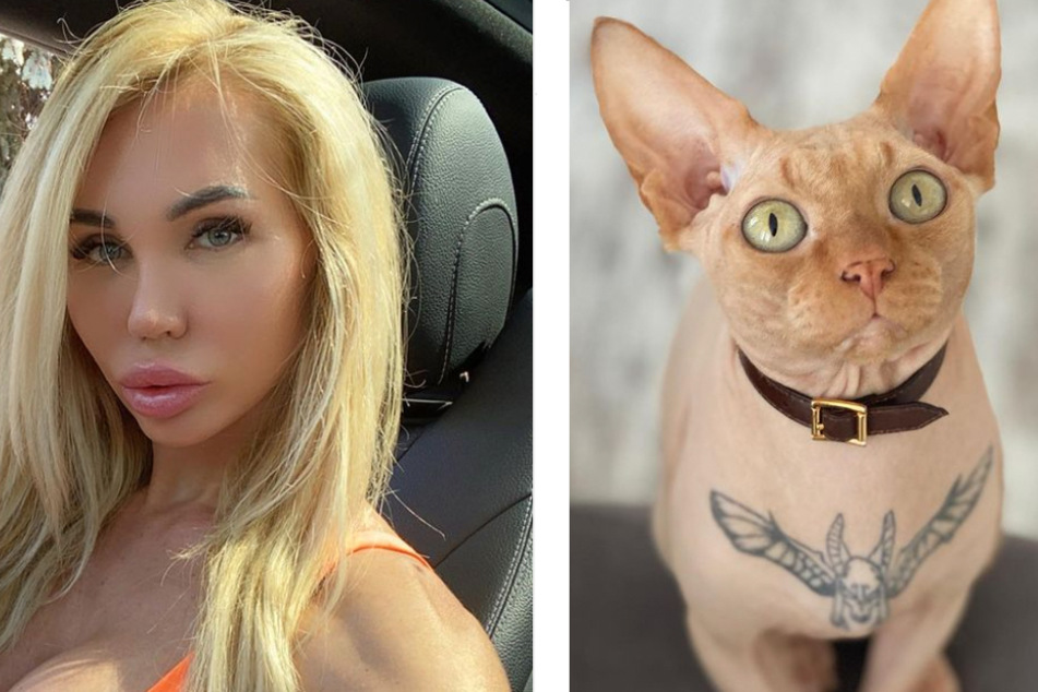 Elena Iwanickaya got her cat tattooed and claims he wasn't hurt during the process (collage).